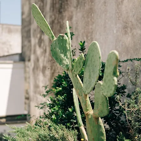 Bed and breakfast Corte Manfredi Alessano