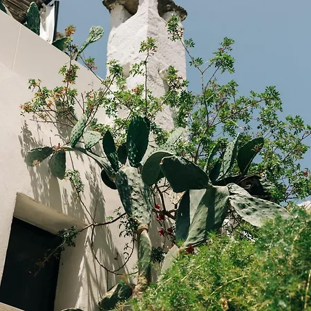 Corte Manfredi فندق مبيت وإفطار