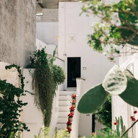 Corte Manfredi Alojamento de Acomodação e Pequeno-almoço 4*