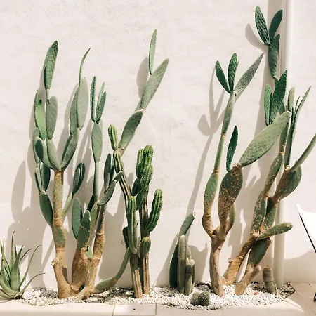 Couette-café Corte Manfredi 4*