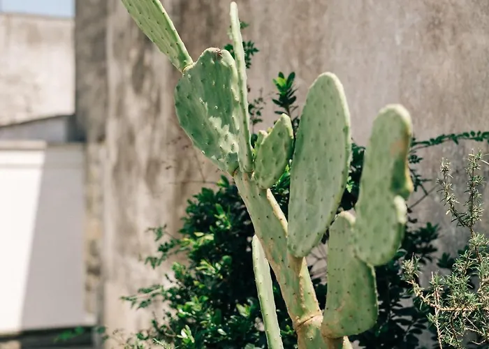 Bed & Breakfast Corte Manfredi Alessano